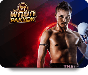 Phân Tích Thị Trường Qua VF555 Review Chuyên Môn Đáng Tin Cậy